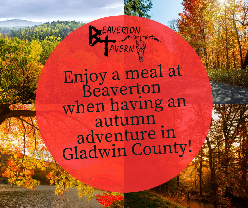 Beaverton Tavern Autumn